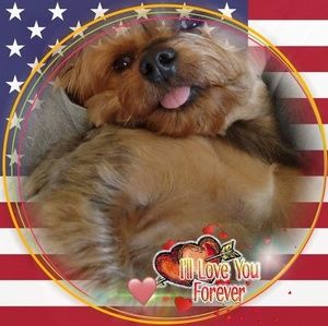 Meet your Posher, Debra w.